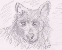 Wolfie